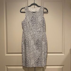 J Crew Dalmatian Print Dress